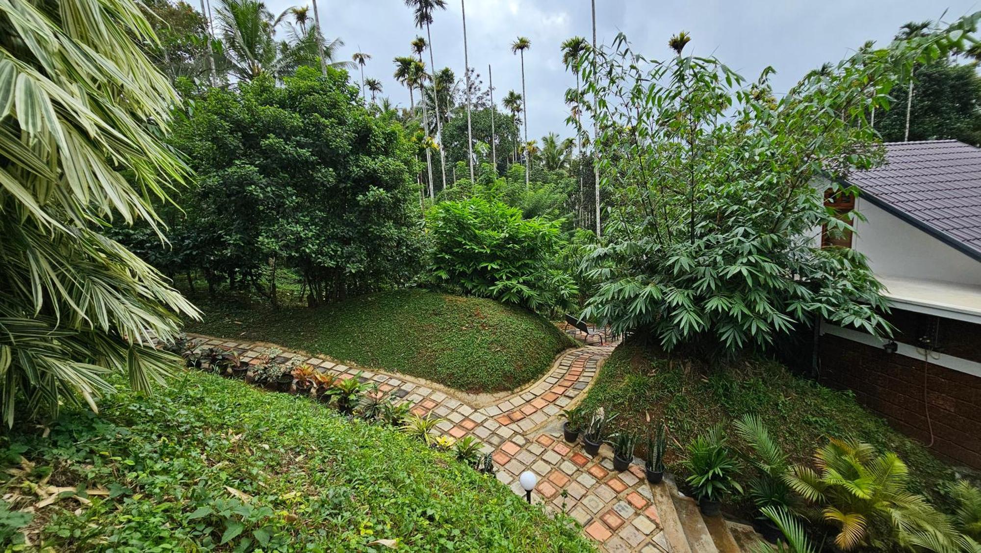 Casta Wild Resort Batheri Exterior photo